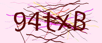 Enter the character string shown in the picture