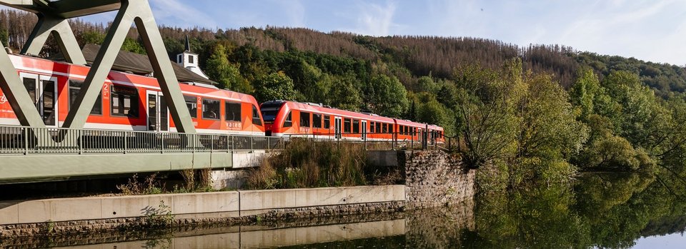 Regionalbahn auf Brücke mit See