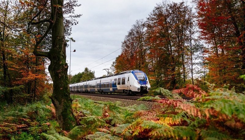 Ein Zug der Linie RB 48 in Fahrt