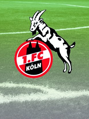 1. FC Köln Logo auf Rasenfläche