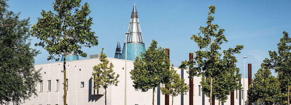 Museumsmeile Bonn Museumsmeile Bonn